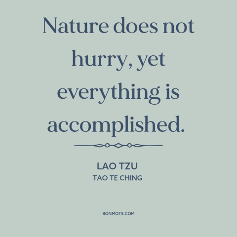 A quote by Lao Tzu about patience: “Nature does not hurry, yet everything is accomplished.”