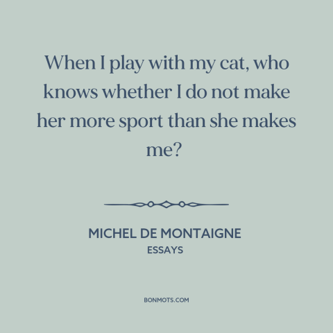 A quote by Michel de Montaigne about cats: “When I play with my cat, who knows whether I do not make her more sport…”