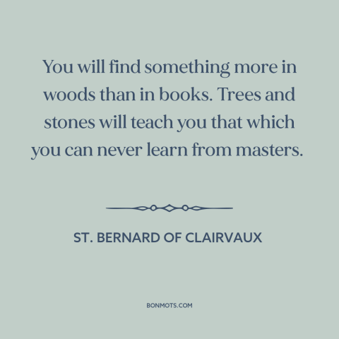 A quote by St. Bernard of Clairvaux about spending time in nature: “You will find something more in woods than in books.”