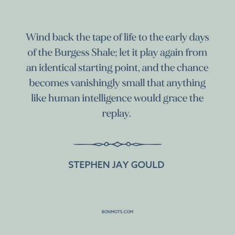 A quote by Stephen Jay Gould about intelligent life: “Wind back the tape of life to the early days of the Burgess Shale;…”