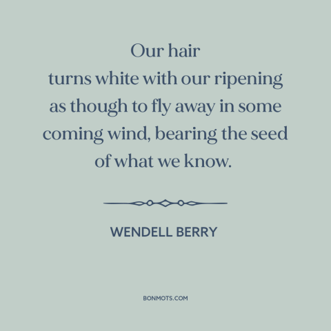 A quote by Wendell Berry about aging: “Our hair turns white with our ripening as though to fly away in some…”