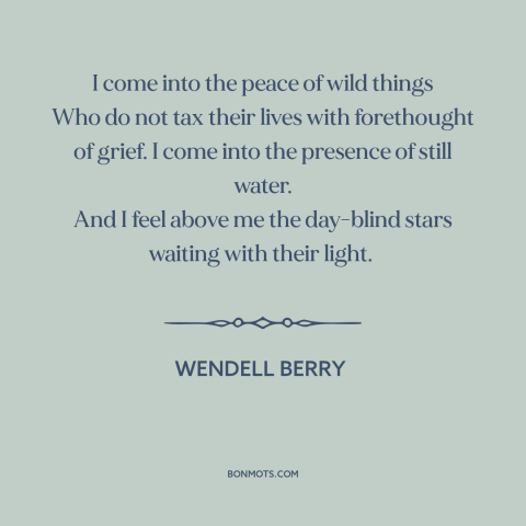 A quote by Wendell Berry about man and nature: “I come into the peace of wild things Who do not tax their lives…”