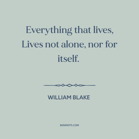 A quote by William Blake about interconnectedness of all things: “Everything that lives, Lives not alone, nor for itself.”