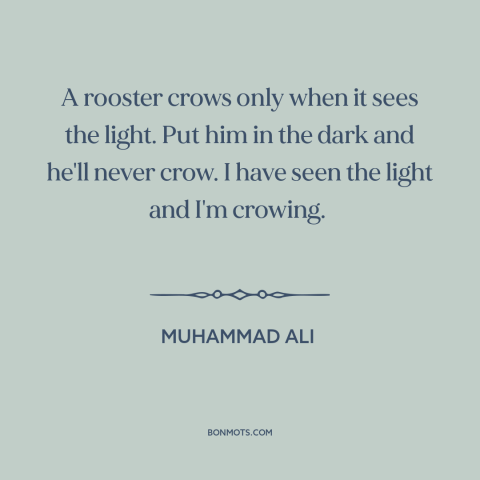 A quote by Muhammad Ali about ignorance: “A rooster crows only when it sees the light. Put him in the dark and…”