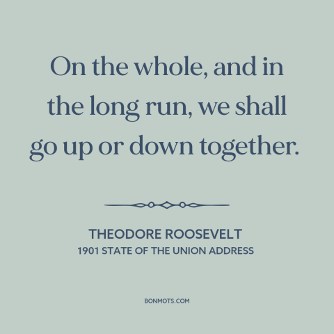A quote by Theodore Roosevelt about interconnectedness of all people: “On the whole, and in the long run, we shall go up or…”