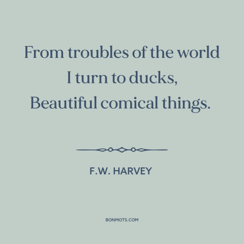 A quote by F.W. Harvey about ducks: “From troubles of the world I turn to ducks, Beautiful comical things.”