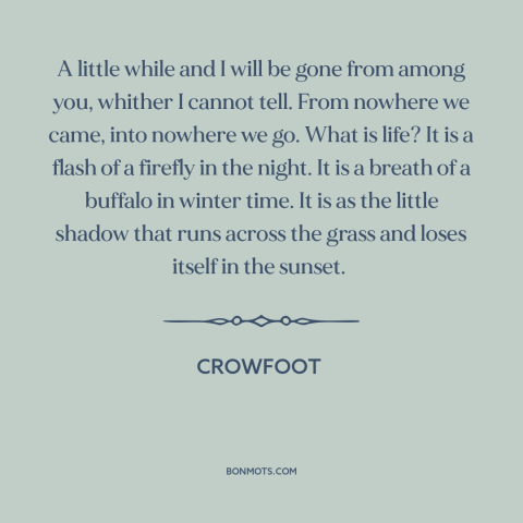 A quote by Crowfoot about nature of life: “A little while and I will be gone from among you, whither I cannot…”