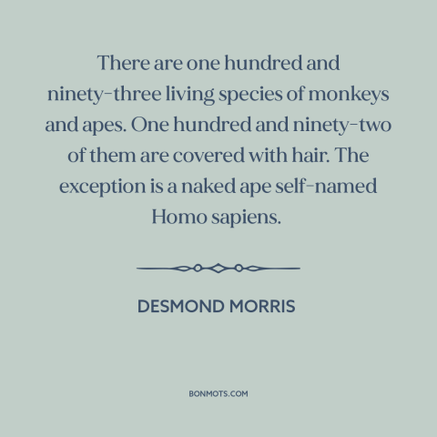 A quote by Desmond Morris about primates: “There are one hundred and ninety-three living species of monkeys and apes.”