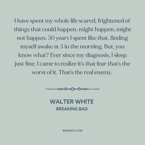 A quote from Breaking Bad about living in fear: “I have spent my whole life scared, frightened of things that…”