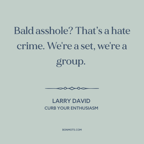 A quote from Curb Your Enthusiasm about baldness: “Bald asshole? That’s a hate crime. We're a set, we're a group.”