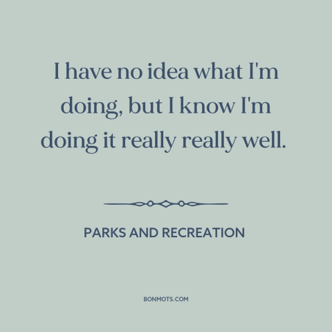 A quote from Parks and Recreation about doing a good job: “I have no idea what I'm doing, but I know I'm doing it really…”