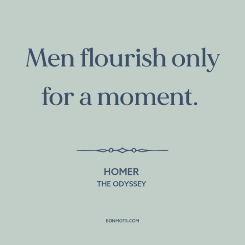 A quote by Homer about ephemeral nature of life: “Men flourish only for a moment.”