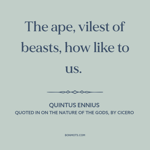 A quote by Quintus Ennius about apes: “The ape, vilest of beasts, how like to us.”