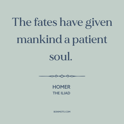 A quote by Homer about patience: “The fates have given mankind a patient soul.”