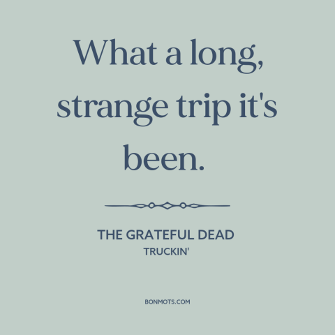 A quote by The Grateful Dead about drugs: “What a long, strange trip it's been.”