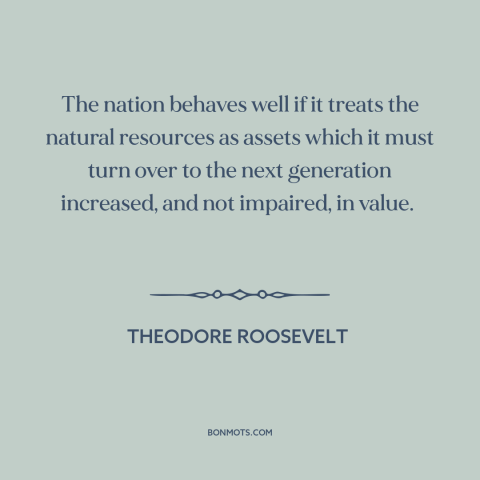 A quote by Theodore Roosevelt about environmental protection: “The nation behaves well if it treats the natural resources…”