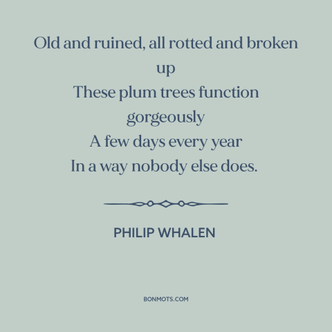 A quote by Philip Whalen about trees: “Old and ruined, all rotted and broken up These plum trees function gorgeously A…”