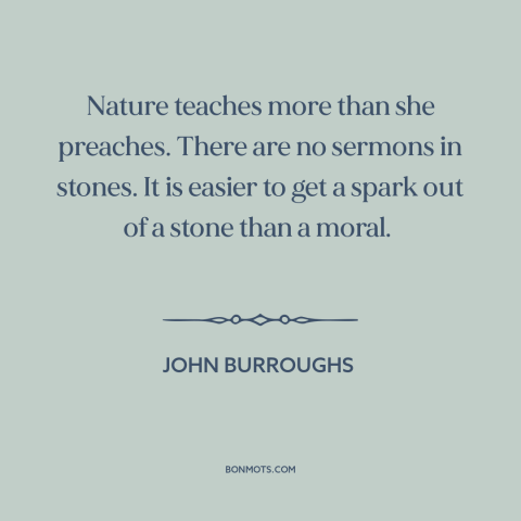 A quote by John Burroughs about learning from nature: “Nature teaches more than she preaches. There are no sermons in…”