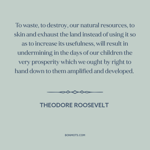 A quote by Theodore Roosevelt about environmental destruction: “To waste, to destroy, our natural resources, to skin…”