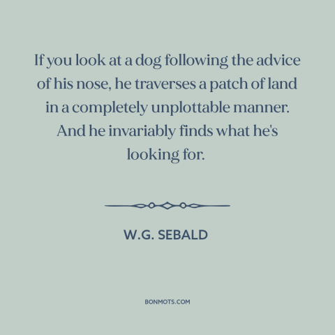 A quote by W.G. Sebald about dogs: “If you look at a dog following the advice of his nose, he traverses a patch…”