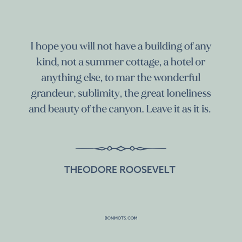 A quote by Theodore Roosevelt about conservation: “I hope you will not have a building of any kind, not a summer…”