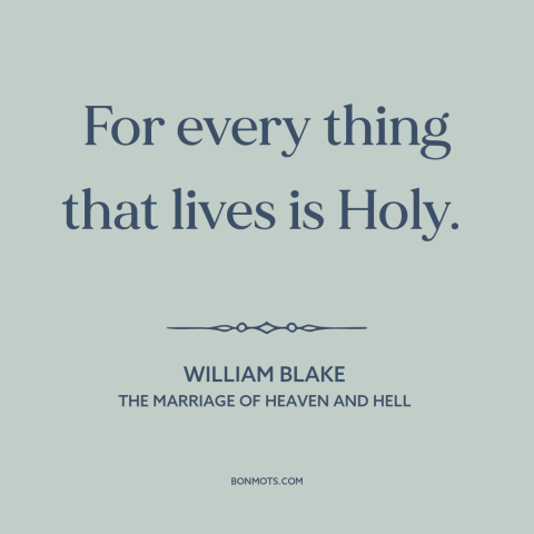 A quote by William Blake about the sacred: “For every thing that lives is Holy.”