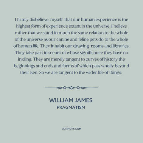 A quote by William James about man and the universe: “I firmly disbelieve, myself, that our human experience is…”