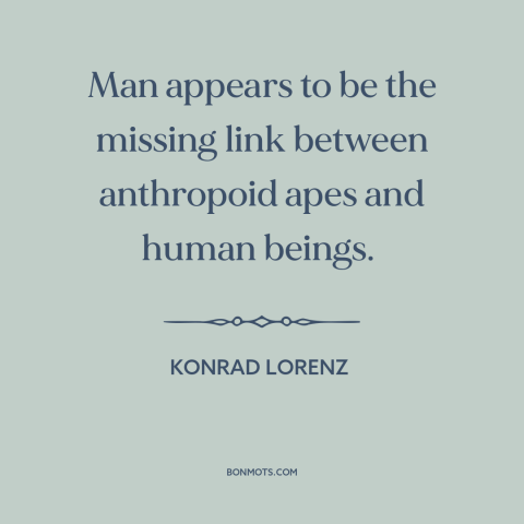 A quote by Konrad Lorenz about man and animals: “Man appears to be the missing link between anthropoid apes and human…”