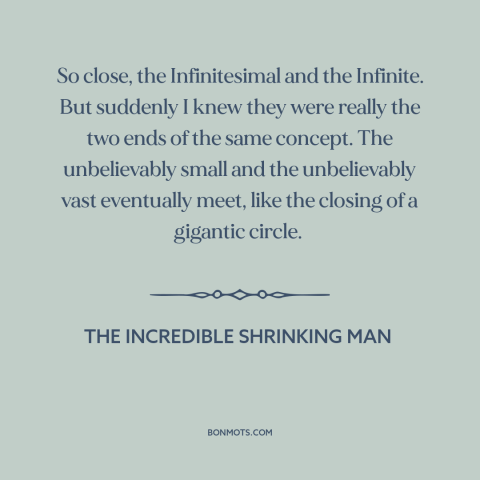 A quote from The Incredible Shrinking Man about the infinite: “So close, the Infinitesimal and the Infinite. But suddenly I…”