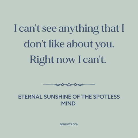 A quote from Eternal Sunshine of the Spotless Mind about infatuation: “I can't see anything that I don't like about you.”