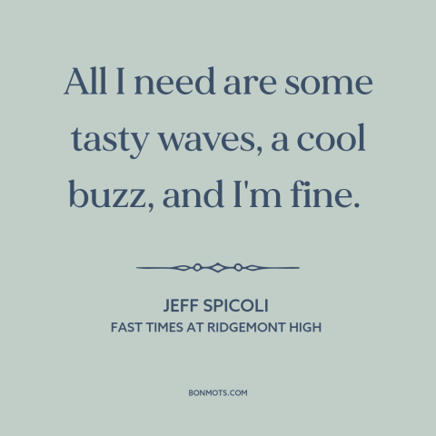 A quote from Fast Times at Ridgemont High about surfing: “All I need are some tasty waves, a cool buzz, and I'm fine.”