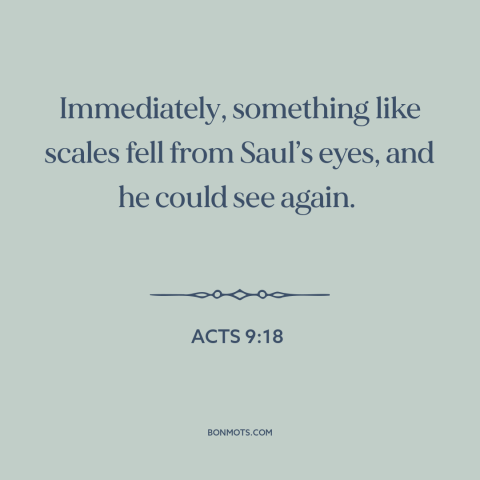 A quote from The Bible about new perspective: “Immediately, something like scales fell from Saul’s eyes, and he could see…”