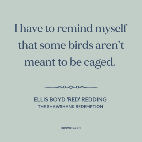 A quote from The Shawshank Redemption about confinement: “I have to remind myself that some birds aren’t meant to be caged.”