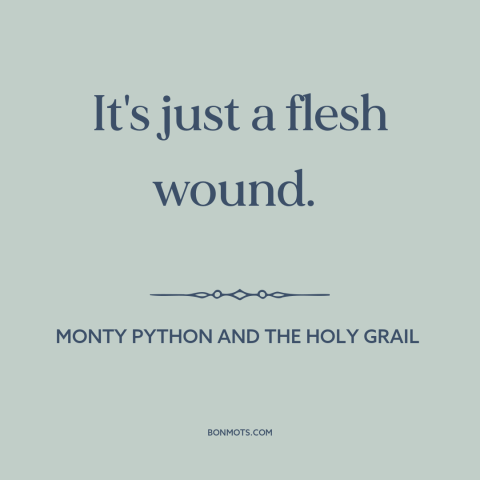 A quote from Monty Python and the Holy Grail about delusion: “It's just a flesh wound.”