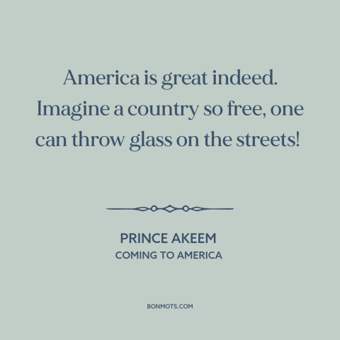 A quote from Coming to America about American freedom: “America is great indeed. Imagine a country so free, one can…”