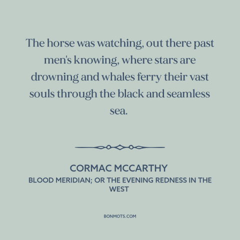 A quote by Cormac McCarthy: “The horse was watching, out there past men's knowing, where stars are drowning and…”