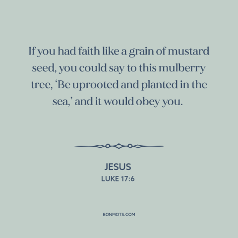 A quote by Jesus about faith: “If you had faith like a grain of mustard seed, you could say to this mulberry tree…”