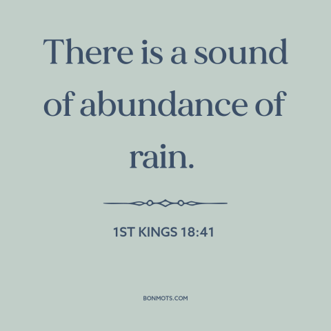 A quote from The Bible about rain: “There is a sound of abundance of rain.”