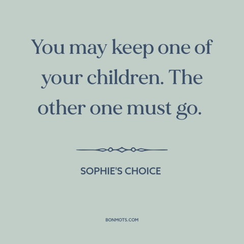 A quote from Sophie's Choice about mothers and children: “You may keep one of your children. The other one must go.”