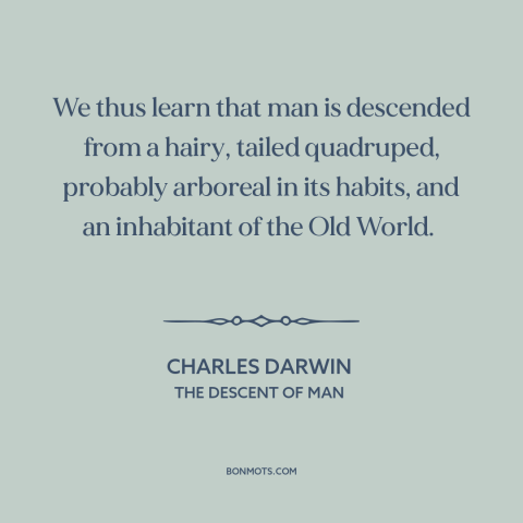 A quote by Charles Darwin about human origins: “We thus learn that man is descended from a hairy, tailed quadruped…”