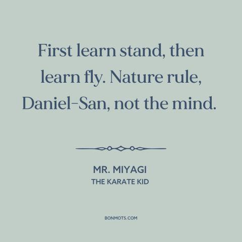 A quote from The Karate Kid about baby steps: “First learn stand, then learn fly. Nature rule, Daniel-San, not the mind.”