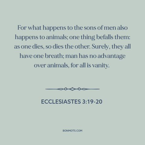 A quote from The Bible about man and animals: “For what happens to the sons of men also happens to animals; one thing…”