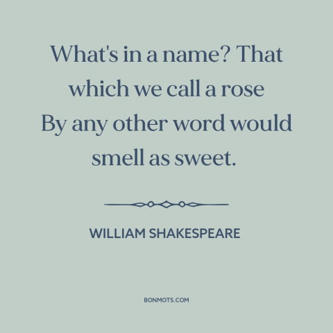 A quote by William Shakespeare about roses: “What's in a name? That which we call a rose By any other word would…”