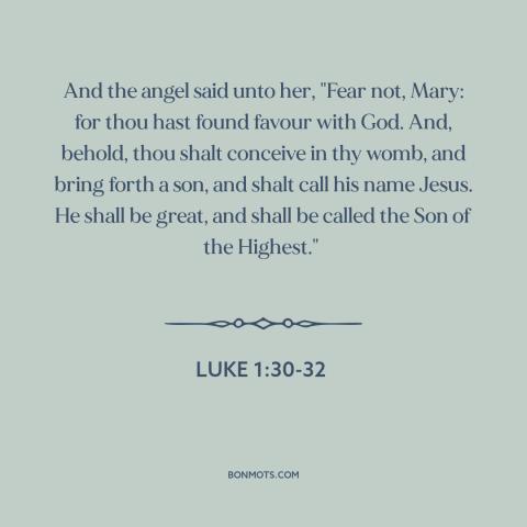 A quote from The Bible about jesus's birth: “And the angel said unto her, "Fear not, Mary: for thou hast found favour…”