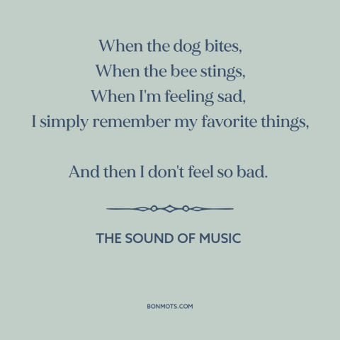 A quote from The Sound of Music about the bright side: “When the dog bites, When the bee stings, When I'm feeling sad, I…”