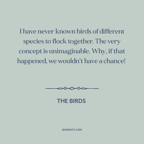 A quote from The Birds about man and animals: “I have never known birds of different species to flock together. The…”