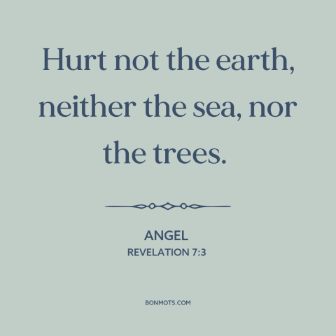 A quote from The Bible about conservation: “Hurt not the earth, neither the sea, nor the trees.”