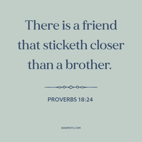 A quote from The Bible about friendship: “There is a friend that sticketh closer than a brother.”