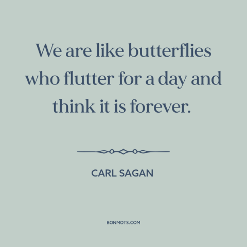 A quote by Carl Sagan about ephemeral nature of life: “We are like butterflies who flutter for a day and think it is…”