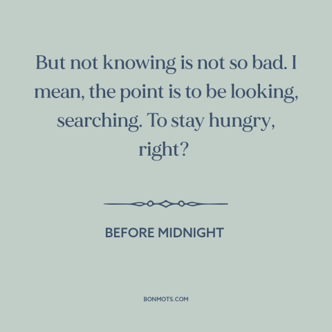 A quote from Before Midnight about uncertainty: “But not knowing is not so bad. I mean, the point is to be looking…”